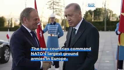 Polish Prime Minister Calls on Turkey to Lead in Ukrainian Peace Efforts 🇹🇷