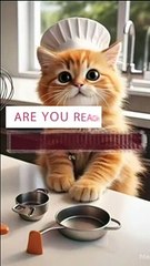 CAT COOKING VIDEO #CAT #COOK #FOOD