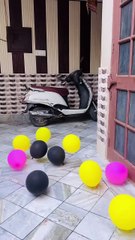 Hilarious Viral Shorts 😂