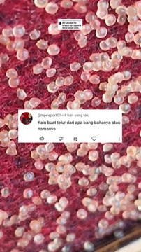 Manfaat KAKABAN untuk pemijahan lele yang jarang diketahui