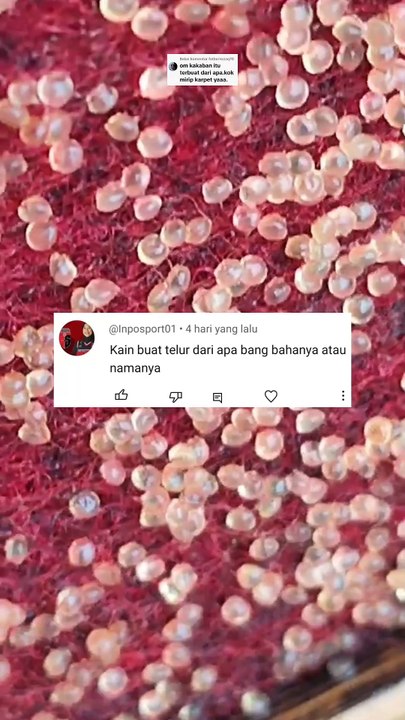 Manfaat KAKABAN untuk pemijahan lele yang jarang diketahui