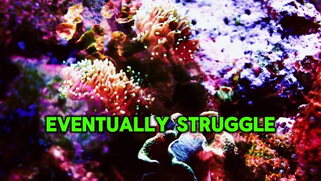 7 Signs God Is Dealing With Those Who Hurt You