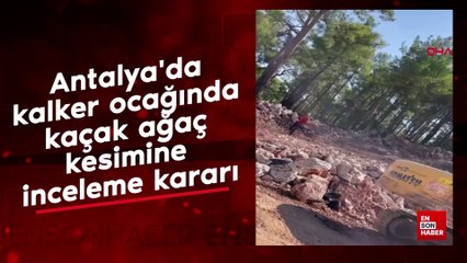 Antalya'da kalker ocağında kaçak ağaç kesimine inceleme kararı