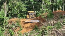 D6R XL Bulldozer Technique Clears Oil Palm Fields in Steep Plantations