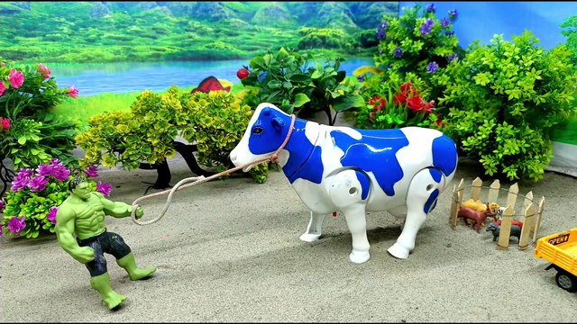 WADIDAU PROSES POTONG SAPI KURBAN | COW CUTTING CARTOON