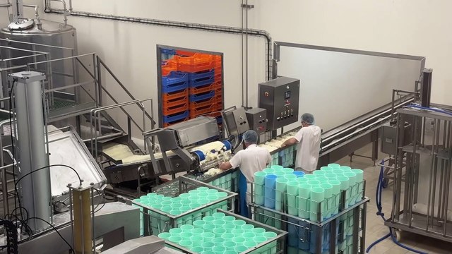 Deux fromages, une histoire : la Fourme d’Ambert et la Fourme de Montbrison, sœurs et rivales