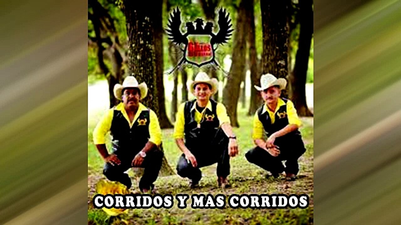 LOS GALLOS DE LA SIERRA SOLO EXITOS