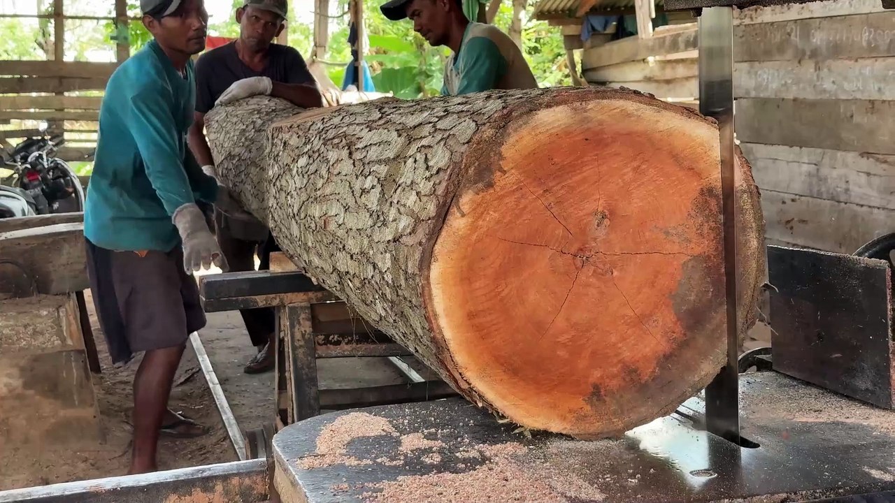 Sawing Wood 2x20 Tools and Techniques Required