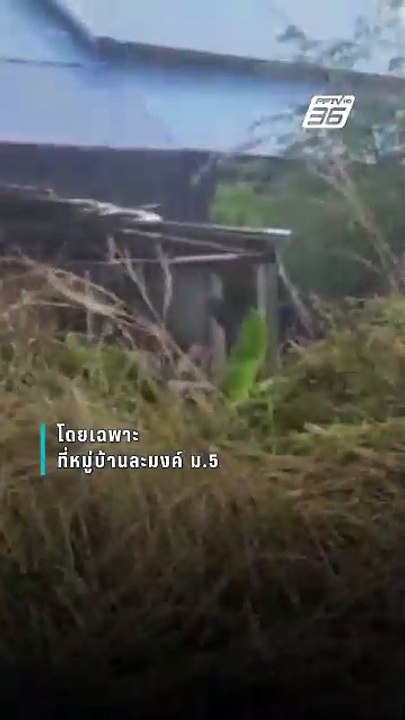 พายุฤดูร้อนถล่มสุรินทร์! บ้านพัง 3 หมู่บ้าน เสี...