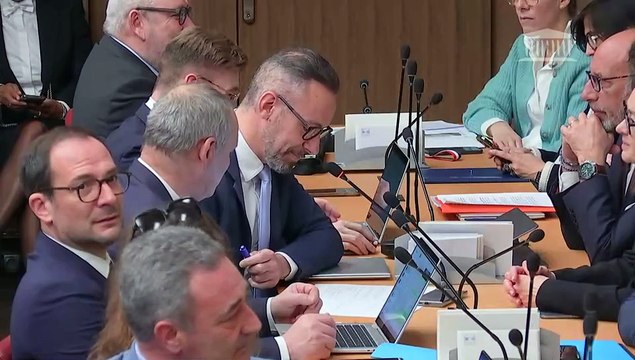 Commission des affaires économiques et Commission des affaires culturelles : Table ronde consacrée au secteur du jeu vidéo - Mercredi 12 mars 2025