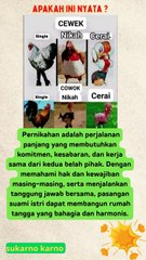 hal penting yang perlu diperhatikan ketika laki-laki dan perempuan sudah menikah