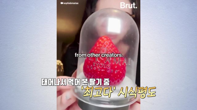 '딸기 한 알 3만원' 대체 어떤 맛이길래? [앵커리포트] / YTN