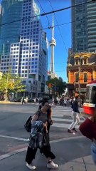 Toronto the larger city of canada