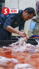 Over 3,000kg chicken seized in raids on two slaughterhouses