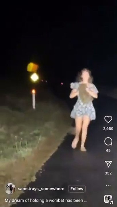 American influencer being deported for kidnapping baby wombat from mother... and banned from Australia, her Boyfriend facing criminal charges...