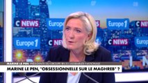 Marine Le Pen : «Le fondamentalisme islamiste est un danger absolument majeur pour notre pays»