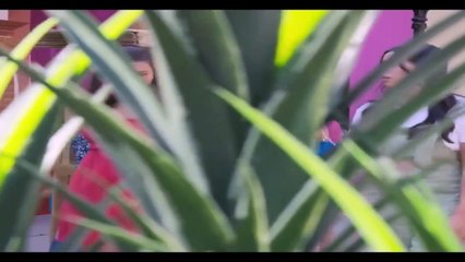 A Mar Capitulo 25 A Mar Capitulo 25