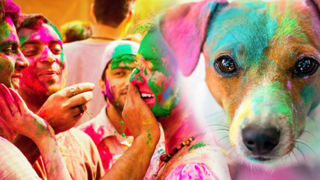 Holi Rules 2025:होली के दिन क्या करना चाहिए क्या नहीं | Holi Ke Din Kya Karna Chahiye Kya Nahi ?