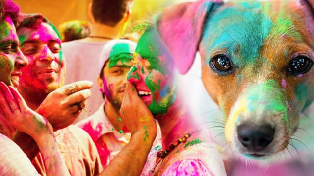 Holi Rules 2025:होली के दिन क्या करना चाहिए क्या नहीं | Holi Ke Din Kya Karna Chahiye Kya Nahi ?