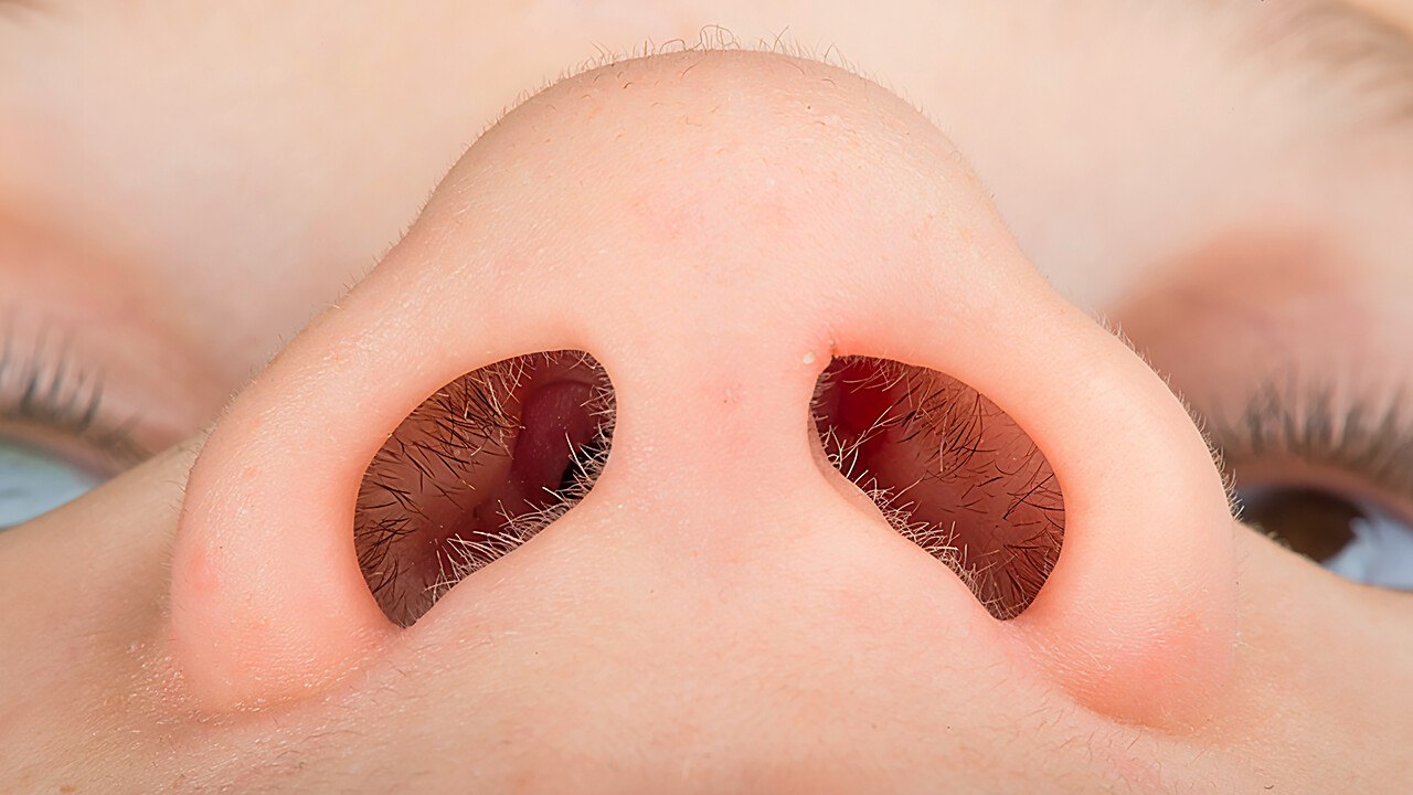 You're a Walking Supermachine – These Body Facts Prove It