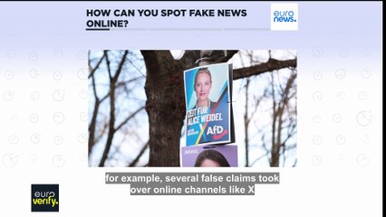 How can you spot fake news online?