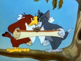 Tom And Jerry - 021 - Flirty Birdy (1945)