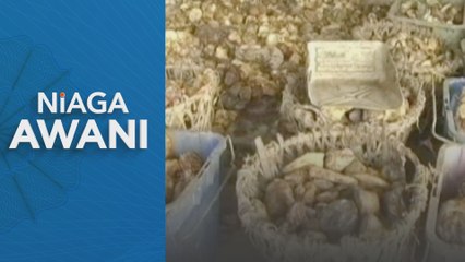 Pengeluaran getas asli negara turun pada Januari 2025