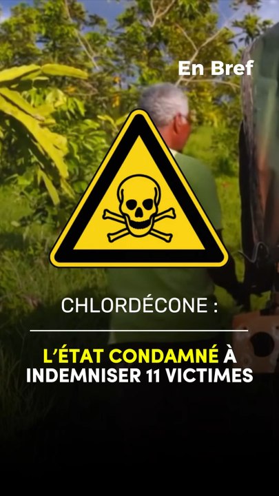 Chlordecone : L’Etat condamné à indemniser 11 victimes