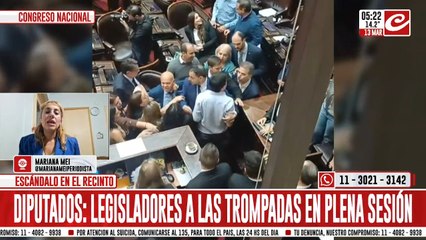 Escándalo en el Congreso: diputados oficialistas se fueron a las manos en plena sesión parlamentaria