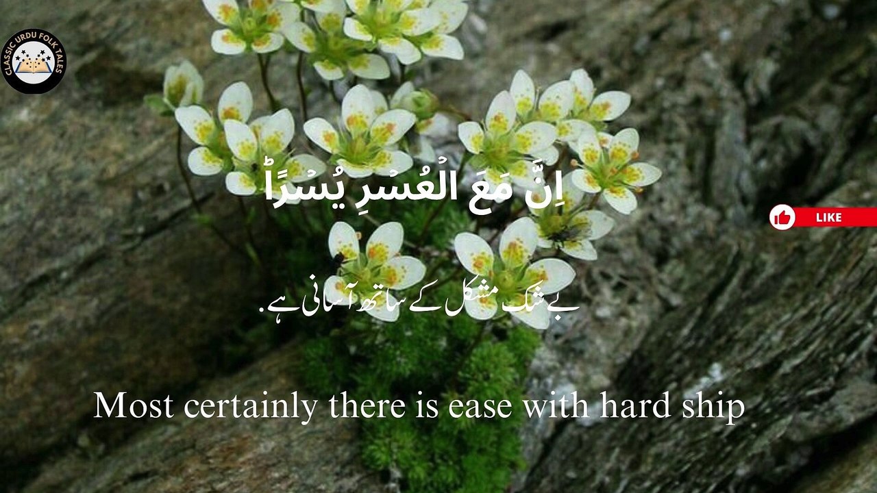 TOP BEST RECITATIONS OF SURAH ALAM NASHRAH