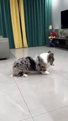 What are you doing 😀 can someone help me answer this?