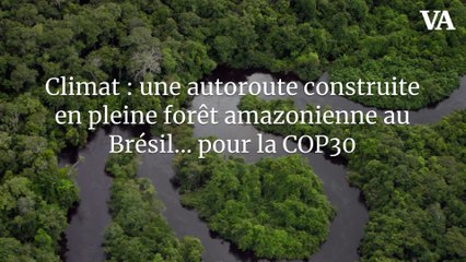 Climat : une autoroute construite en pleine forêt amazonienne au Brésil… pour la COP30