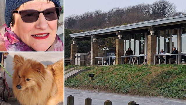 Dog walkers give their verdict on visitor centre pet ban