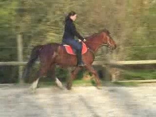 Chloé/Pégase 04 2008