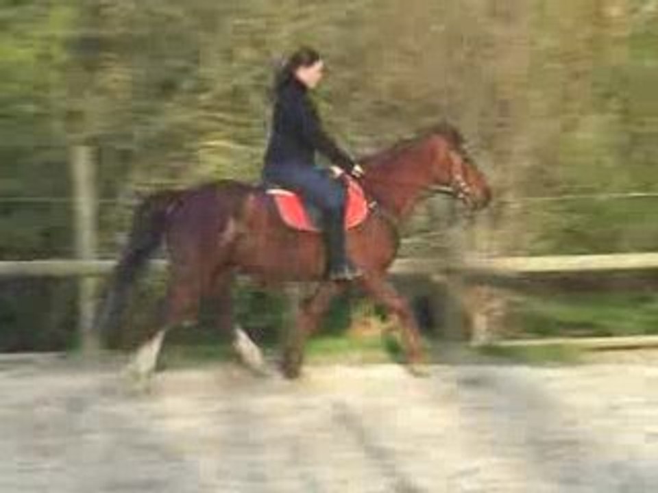 Chloé/Pégase 04 2008