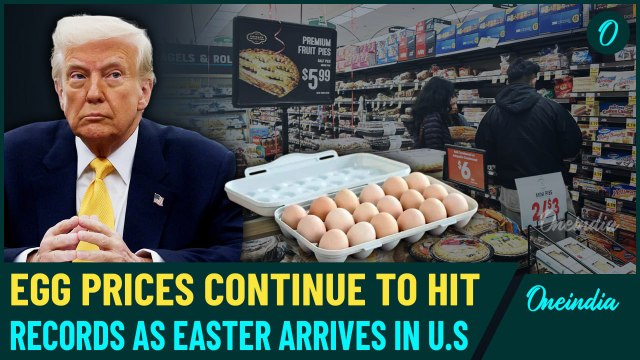 U.S EGGs Crisis: Trump Tells 'Shut Up About Egg Prices' As Easter Eggs Marred By Bird Flu | Details