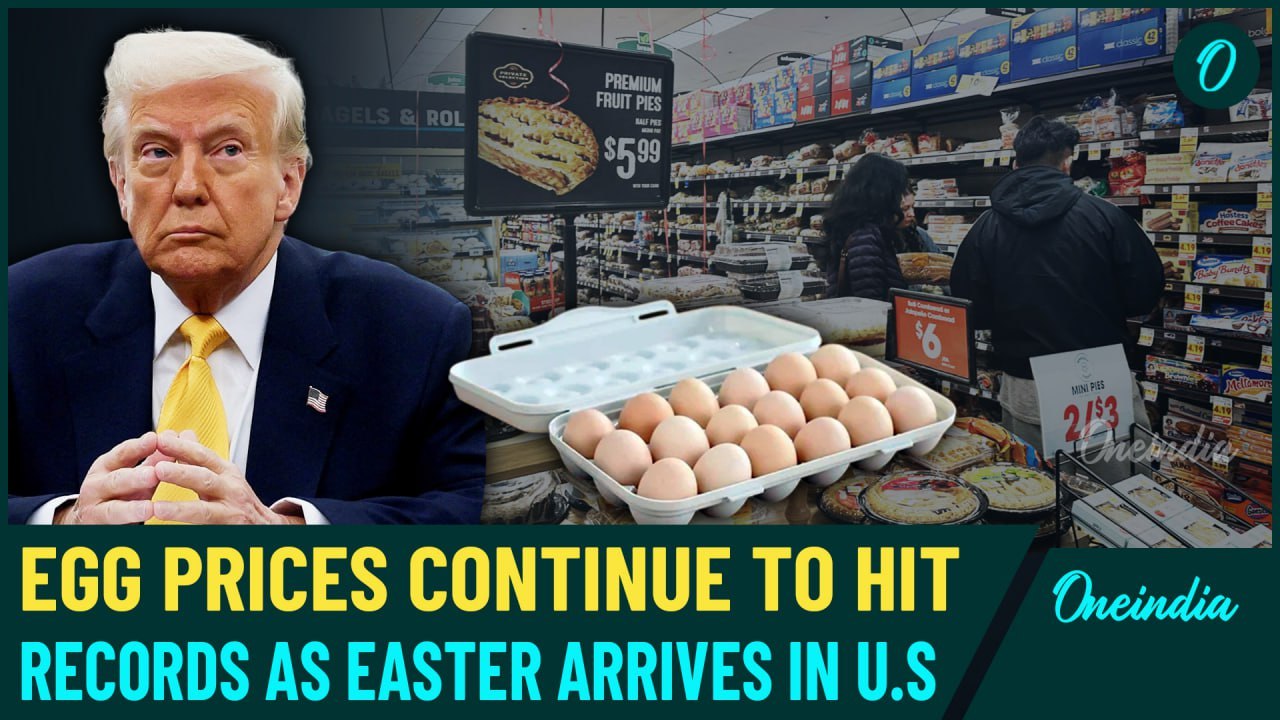 U.S EGGs Crisis: Trump Tells 'Shut Up About Egg Prices' As Easter Eggs Marred By Bird Flu | Details