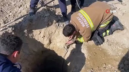 İnşaat alanındaki 15 metrelik çukura düşen köpek kurtarıldı