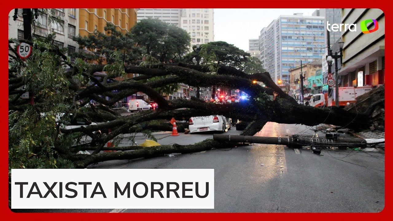 Temporal em São Paulo causa queda de mais de 300 árvores e 64 mil imóveis continuam sem luz