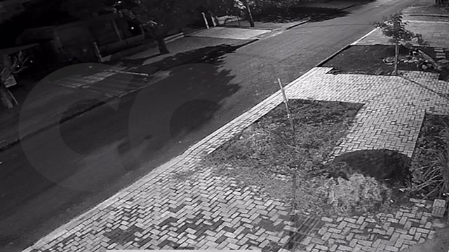 Câmera de segurança flagra furto de motocicleta Honda Biz no bairro Floresta