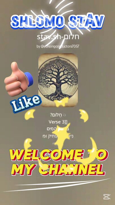 חלום-stav.sh