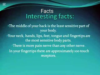 #Factsnew#facts#dailymotion#shorts#educatuon#reality##video#film#senses#human#sight#brain#body