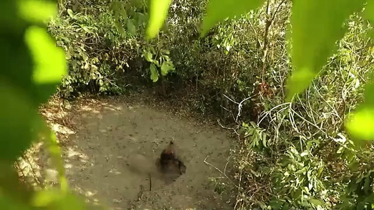 105 Days Building The Most Amazing Underground Water Slide Temple House