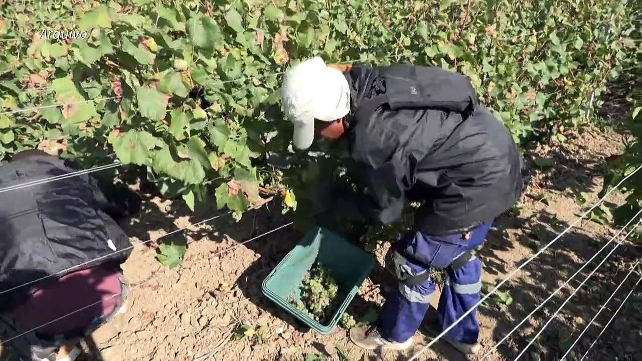 Trump ameaça impor tarifas de 200% sobre vinho e champanhe da França e União Europeia