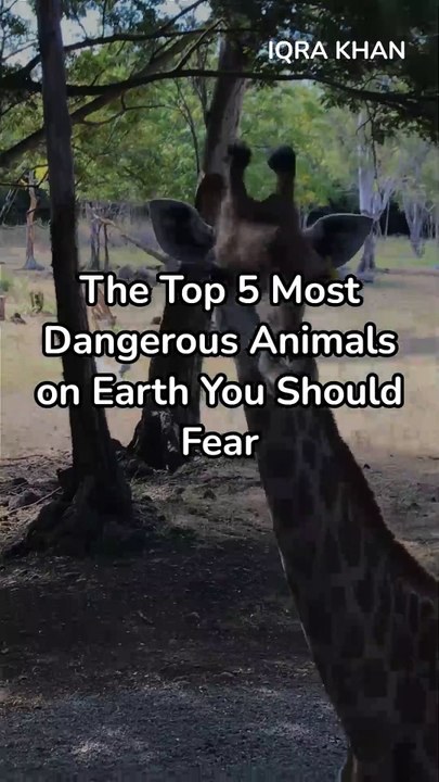 The Top 5 Most Dangerous Animals on Earth You Should Fear