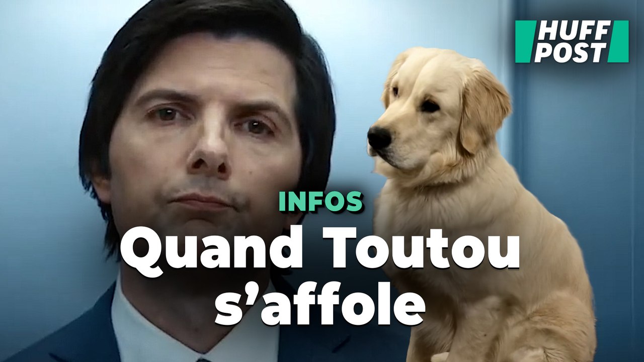 D’après ces vidéos, mieux vaut ne pas regarder « Severance » avec son chien