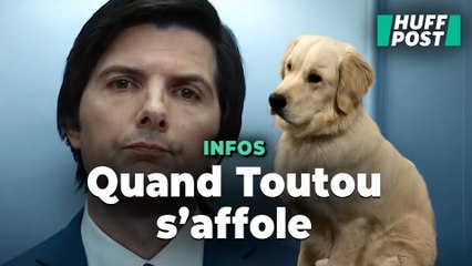 D’après ces vidéos, mieux vaut ne pas regarder « Severance » avec son chien