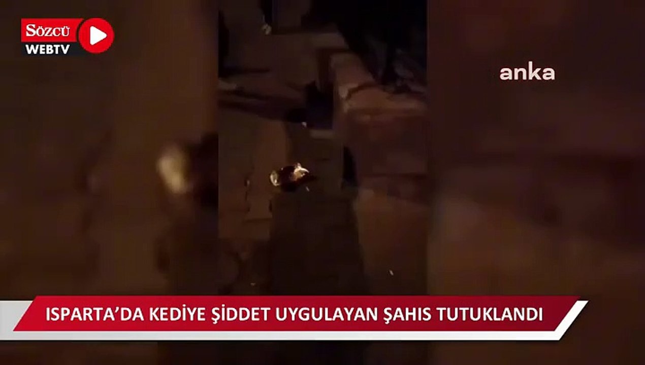 Isparta’da kediye şiddet uygulayan şahıs tutuklandı