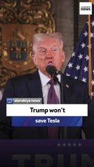 Trump’s endorsement of Tesla won’t help