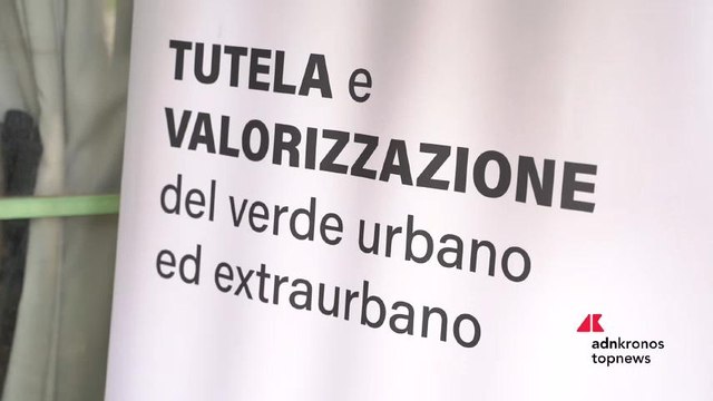Progetto RiforestAzione: 4,5 milioni di alberi per città più verdi e vivibili